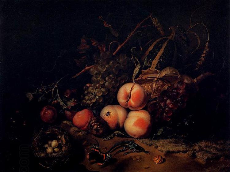 Rachel Ruysch Still-Life with Fruit and Insects China oil painting art